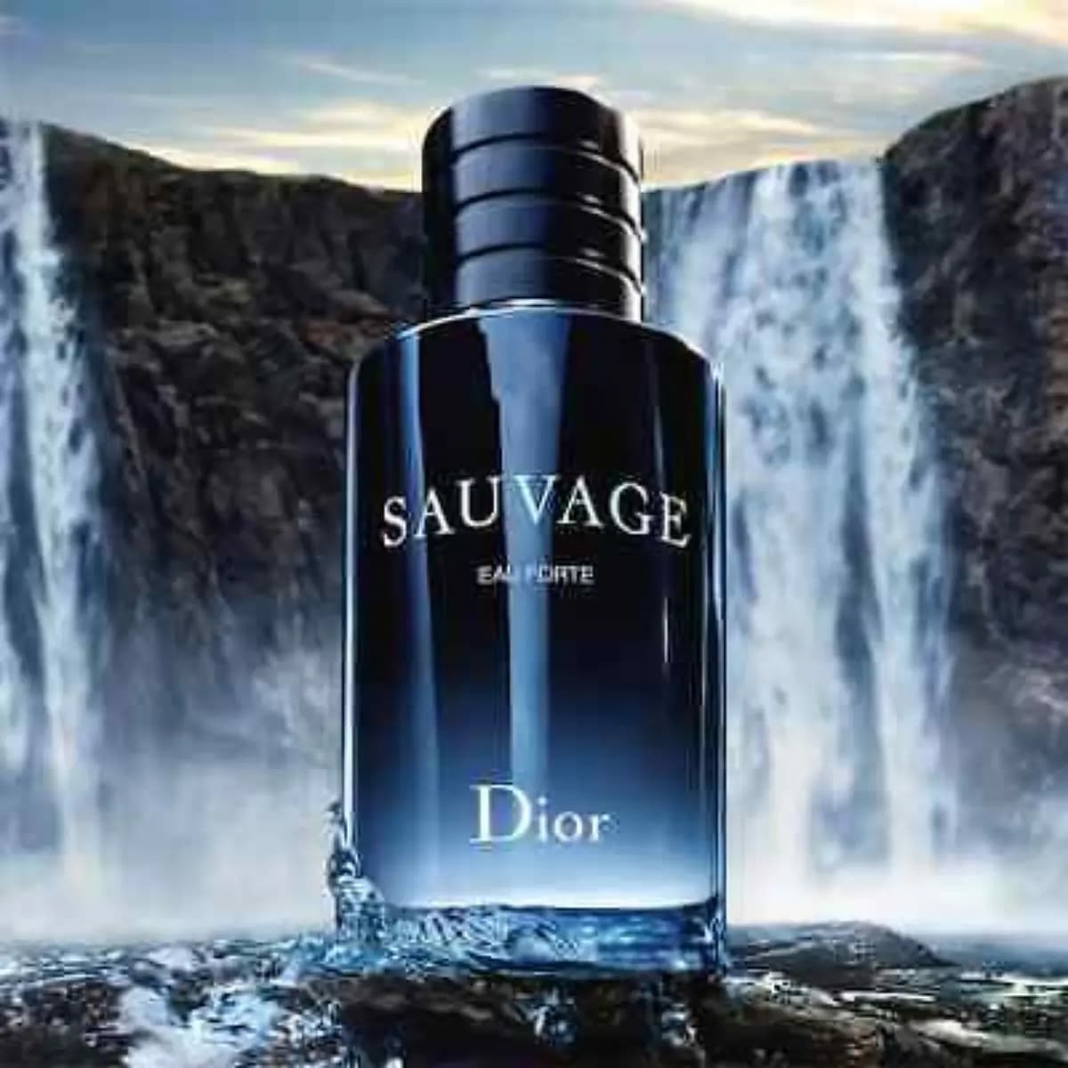 DIOR Sauvage Eau Forte Parfum x 100ml.