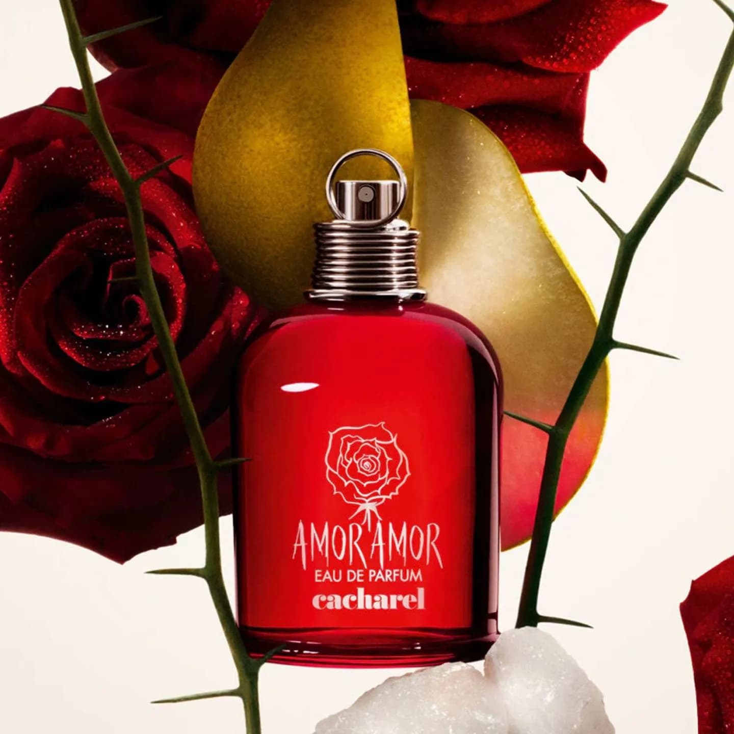 CACHAREL Amor Amor EDP x 100ml.