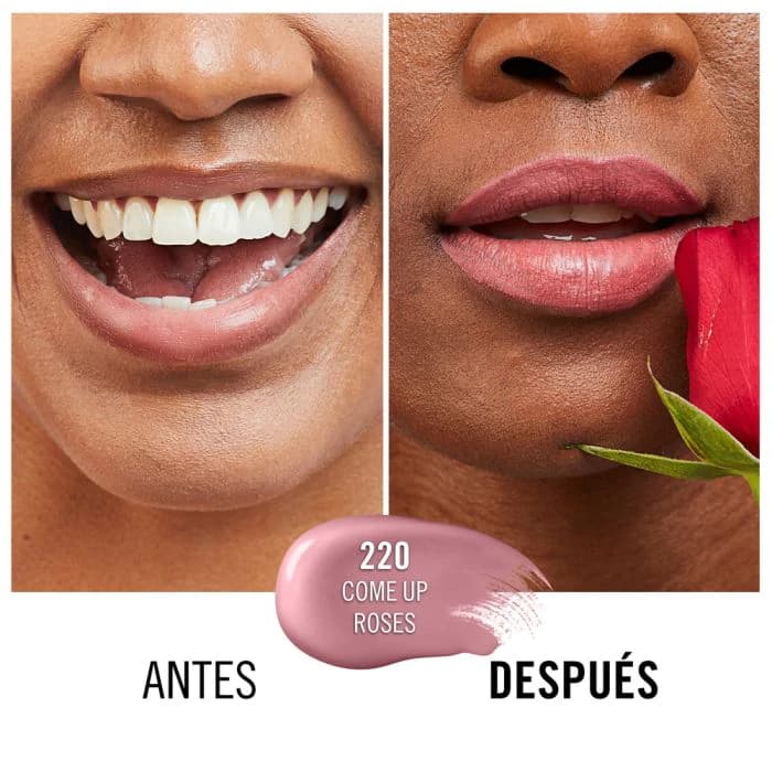 Rimmel Lasting Provocalips 16hs. 220