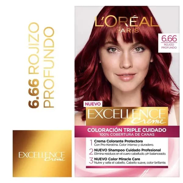 Coloracion Excellence Reno 6.66