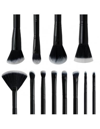 Set Brochas Profesional x 12uni.
