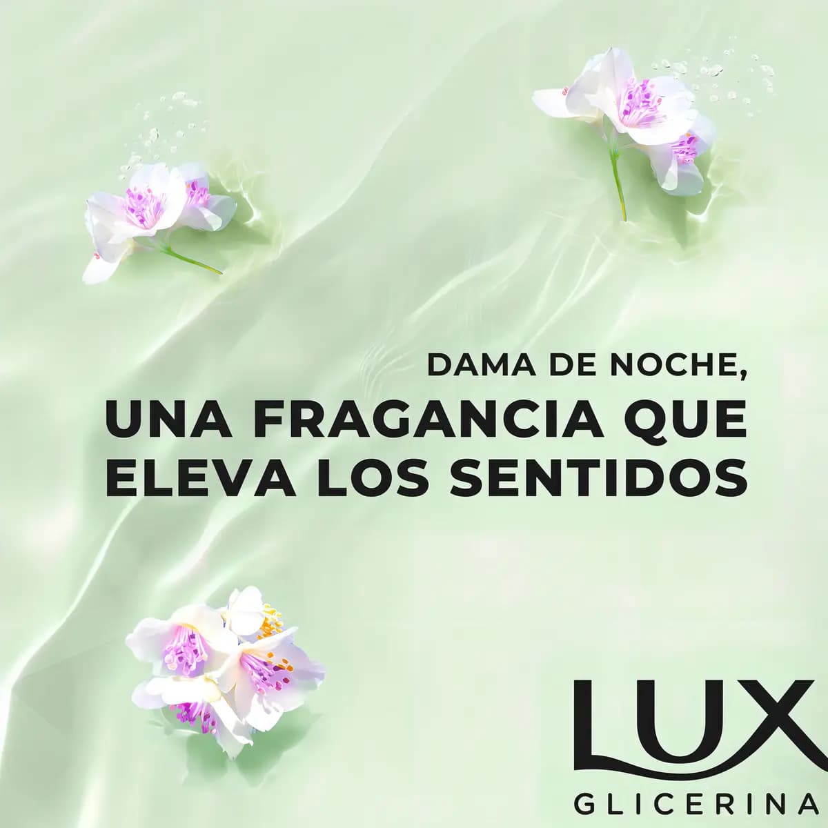 Jabón líquido glicerina Lux dama de noche x 300 ml.